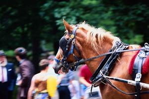 長野駅近で快適な宿泊を提供する東横INN長野駅善光寺口の魅力と詳細情報