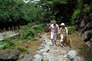 【2024年最新情報】東横INN弘前駅前の魅力と特徴をご紹介 ? 青森県弘前市のビジネスホテル予約ガイド