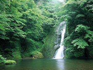 愛知県名古屋市中心部に位置する東横イン名古屋栄の魅力とは？快適な滞在と充実のサービスを紹介