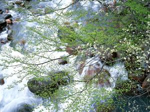 札幌駅南口から徒歩5分！アクセス便利なビジネスホテル「東横INN札幌駅南口」の魅力と詳細情報