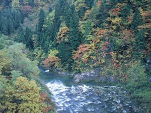 東京汐留の便利な立地と快適なサービスを提供する「ホテル ヴィラフォンテーヌ グランド東京汐留」完全ガイド