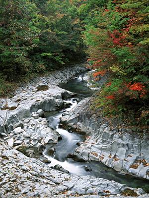 高槻にある魅力的なカラオケの2号店