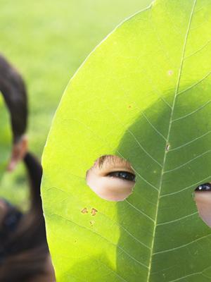静岡の絶品ビュッフェと客室が魅力の中島屋グランドホテルの詳細紹介