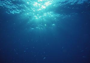 【熊本市中心部の快適ビジネスホテル】東横INN熊本桜町バスターミナル前の魅力と特徴