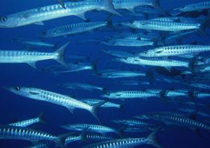 東横INN岐阜羽島駅新幹線南口｜岐阜県羽島市の快適なビジネス・観光ホテル