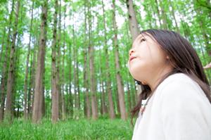 四国フェリー観光にはジャンボフェリー