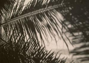 高品質なカフェ体験を提供するXYZカフェの魅力と店舗情報