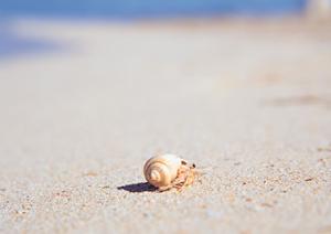 宮崎市にあるビジネスホテル「東横INN宮崎中央通」：快適な滞在と便利なロケーションを提供