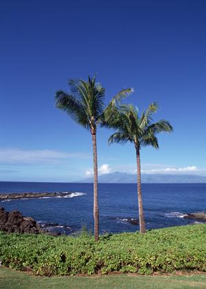 【公式情報】東横INN品川港南口天王洲アイル：ビジネスと観光に便利な快適ホテル
