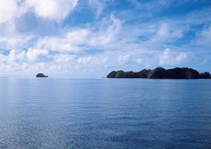 六本木で楽しめるアミューズメントポーカーの最高スポット【六本木HIGEGORILLA】