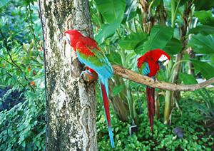 群馬県伊勢崎駅近くのビジネスホテル：東横INN群馬伊勢崎駅前の魅力と詳細情報
