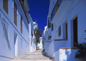 東横INN徳島駅前の魅力と特徴を徹底解説！快適なビジネス・観光に最適な宿泊施設