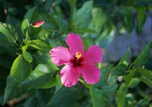 大阪市北区中津に位置する【公式】東横INN梅田中津1｜ビジネス・観光に最適な便利なホテル予約