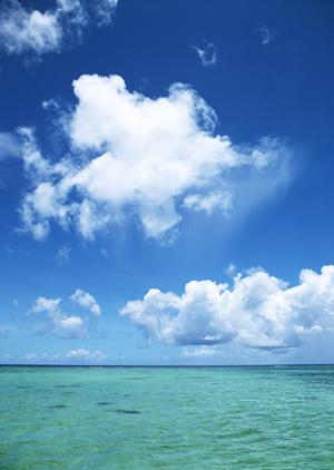 千葉みなと駅徒歩1分のビジネスホテル｜東横INN千葉みなと駅前の魅力と特徴