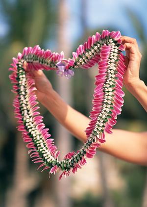 東横INN東広島西条駅前：快適な宿泊体験と便利なアクセスを提供するビジネスホテル