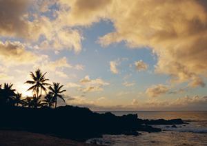 長崎県対馬市に位置する東横INN対馬厳原の魅力と詳細情報